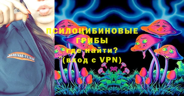 PSILOCYBIN Абинск