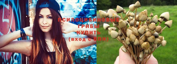 PSILOCYBIN Абинск