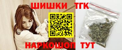 гашик Камышлов