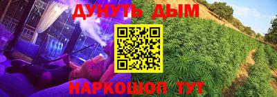 сатива Канаш