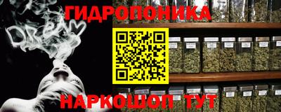 сатива Канаш