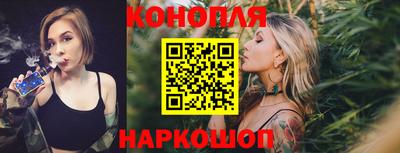 гашик Камышлов