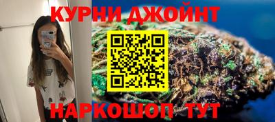 гашик Камышлов