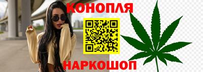сатива Канаш